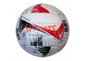 Мяч волейбольный Sportex E39980 р.5