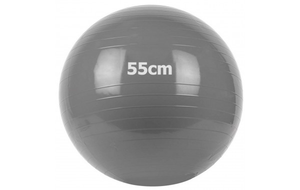 Мяч гимнастический Gum Ball d55 см Sportex GM-55-1 серый 600_380