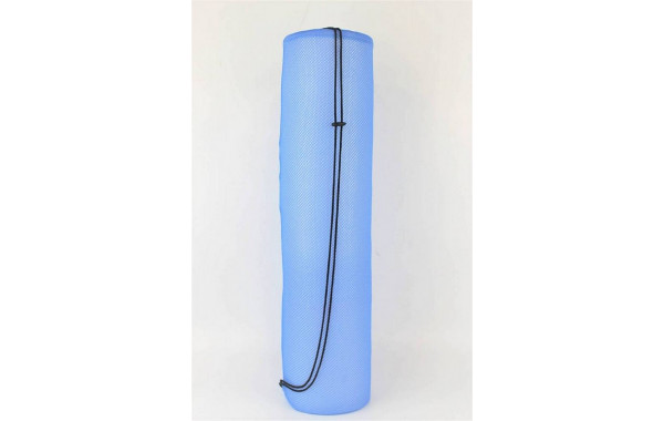 Чехол для гимнастического коврика BF-01 синий 600_380