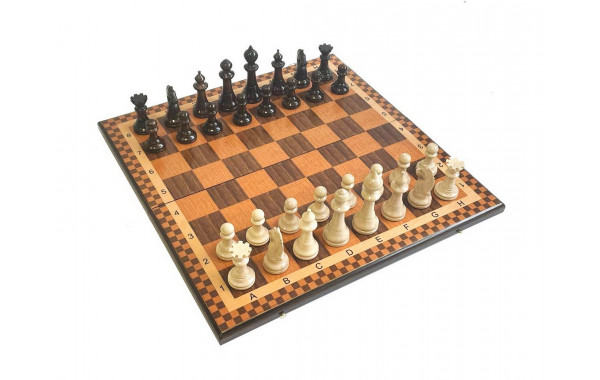 Шахматы "Турнирные 2" 40 Armenakyan AA104-42 600_380