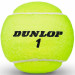Мяч теннисный Dunlop Australian Open 601355 одобр.ITF, уп.4 шт желтый 75_75
