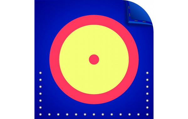 Ковер борцовский Стандарт 12х12х0,04м, пл.160кг/м3 (ПВХ-Корея, трехцветный) 600_380