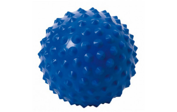 Мяч массажный Togu Senso Ball 410114 28 см синий 600_380