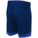 Шорты игровые Jogel DIVISION PerFormDRY Union Shorts, темно-синий-синий-белый 75_75