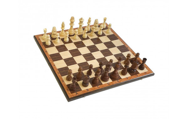 Шахматы "Триумф 1" 40 Armenakyan AA103-41 600_380