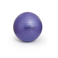 Гимнастический мяч 65см SISSEL Securemax Exercice Ball S160.010