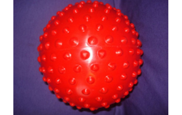 Мяч с шипами ФСИ 20 см, И06022 600_380