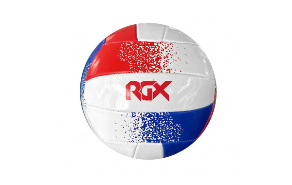 Мяч волейбольный RGX RGX-VB-10 р.5 600_380