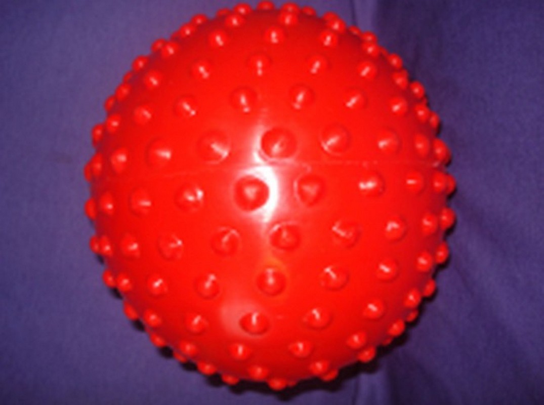 Мяч с шипами ФСИ 20 см, И06022 1075_800
