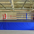 Ринг боксерский на подиуме разборный Hercules 6264 120_120