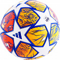 Мяч футбольный Adidas UCL Competition IN9333, р.5 FIFA Quality Pro 120_120